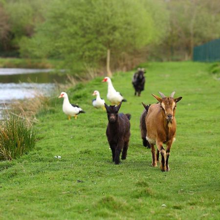 Gites De La Ferme De Vur Ven Gouvieux Exterior foto