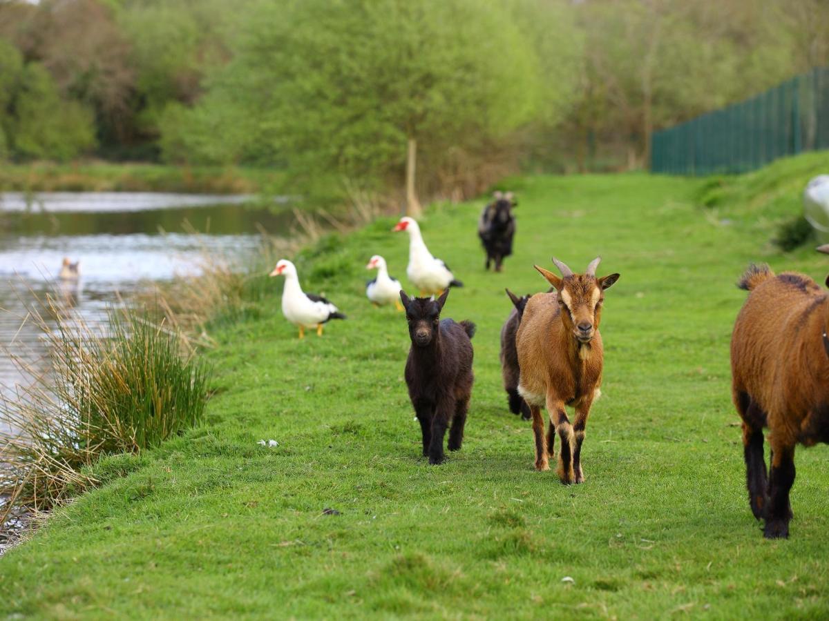 Gites De La Ferme De Vur Ven Gouvieux Exterior foto